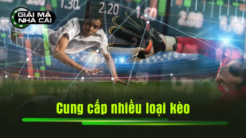 Cung cấp nhiều loại kèo