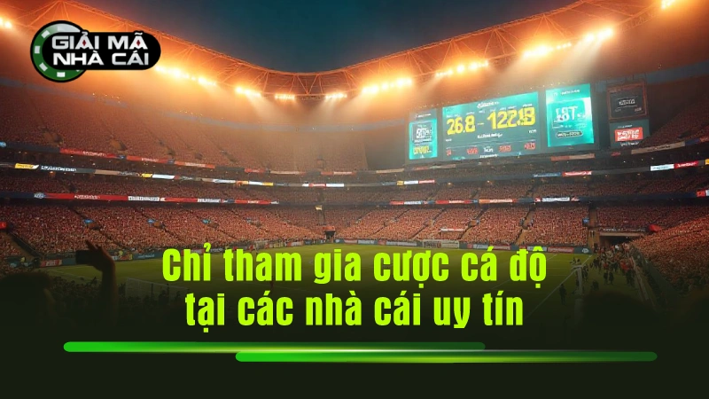 Chỉ tham gia cược cá độ tại các nhà cái uy tín