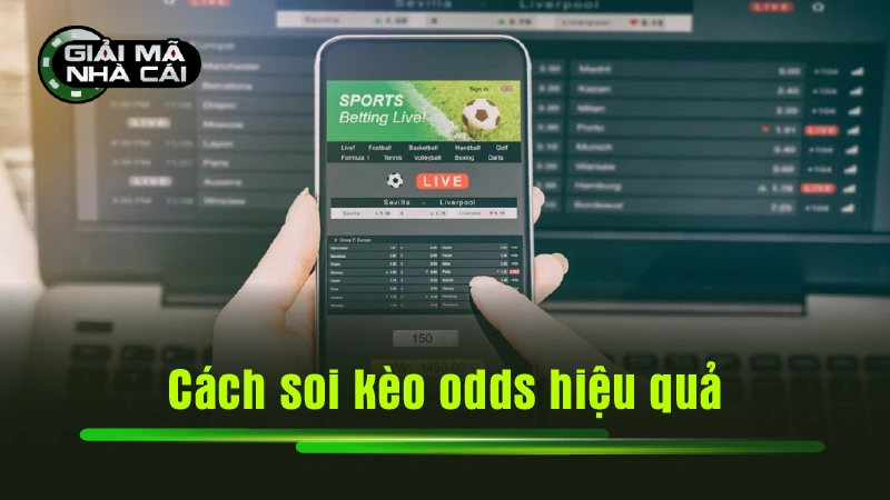 Cách soi kèo odds hiệu quả